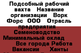 Подсобный рабочий вахта › Название организации ­ Ворк Форс, ООО › Отрасль предприятия ­ Семеноводство › Минимальный оклад ­ 30 000 - Все города Работа » Вакансии   . Ханты-Мансийский,Белоярский г.